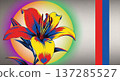 Colorful lily flower illustration 137285527