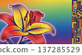 Colorful lily flower illustration 137285529