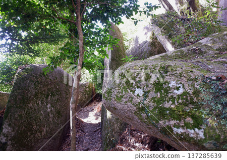 Kochi Prefecture Tojindaba Ruins and Tojin Stone Iwaza Group 137285639