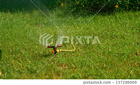 Irrigation.Sprinkler watering greenery,hot day in city park Irrigation.Sprinkler watering greenery,hot day in city park 137286009