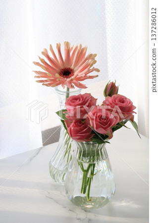 Pink flowers Pink flowers 137286012