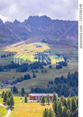 Alpe di Siusi alpine meadows, Dolomites, Italy Alpe di Siusi alpine meadows, Dolomites, Italy 137286246