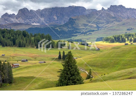 Sassolungo, Alpe di Siusi, Dolomites, Italy Sassolungo, Alpe di Siusi, Dolomites, Italy 137286247