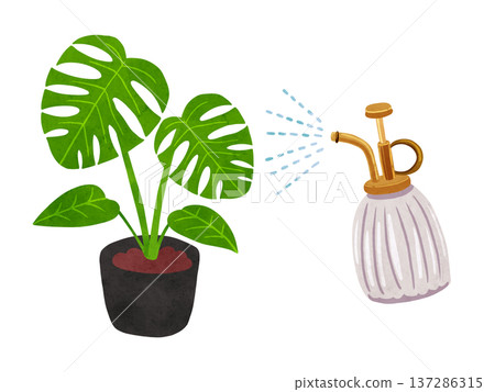 噴霧器和盆栽龜背竹水彩手繪插圖 137286315