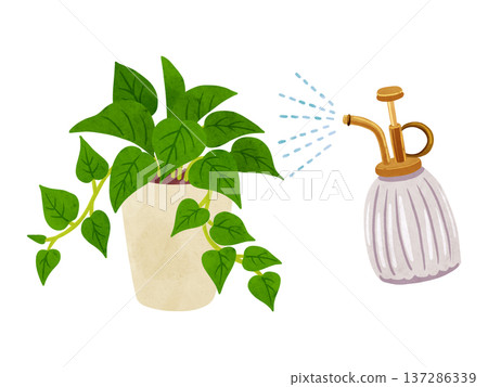 噴霧器和盆栽綠蘿－水彩手繪插圖 137286339