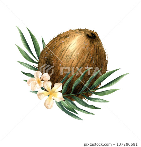 Watercolor whole tropical coconut fruit with greenery and blossom. Elegant summer illustration with white flower and leaves. Hand drawn isolated arrangement for oil, cosmetic packaging, menu design Watercolor whole tropical coconut fruit with greenery and blossom. Elegant summer illustration with white flower and leaves. Hand drawn isolated arrangement for oil, cosmetic packaging, menu design 137286681