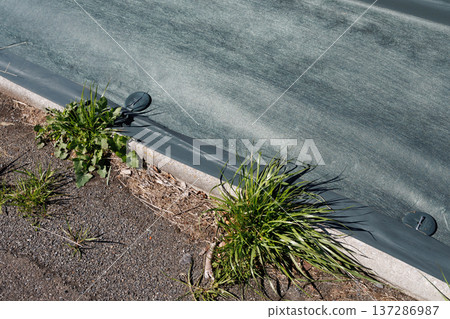 草保護板 137286987