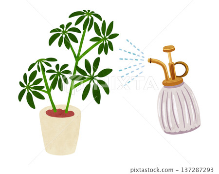 噴霧器和盆栽鵝掌柴－水彩手繪插圖 137287293