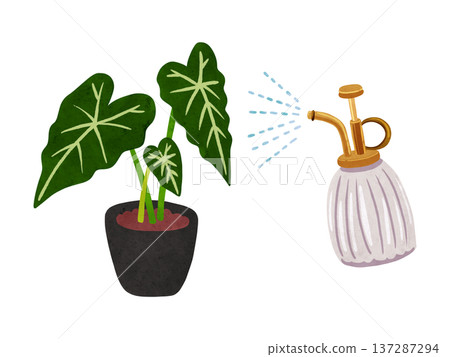 噴霧器和盆栽綠絨芋——水彩手繪插圖 137287294