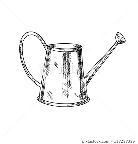 Vector garden watering can. Graphic hand drawn pitcher illustration isolated on background. Botanical and clip art. For greeting card, wallpaper, wrapping paper design, textile, scrapbooking 137287389