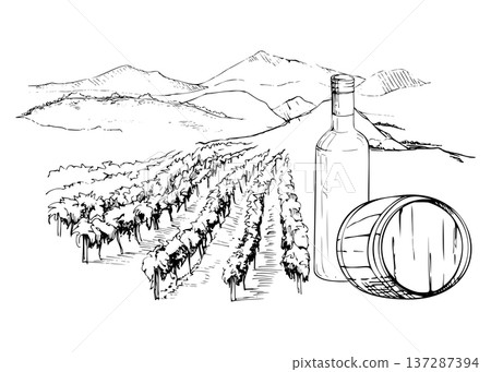 Rural vineyard plantation vista. Landscape with grapevines, distant hills, wine bottle and barrel closeup. Isolated ink vector illustration hand drawn for winery tourism branding, editorial design. 137287394