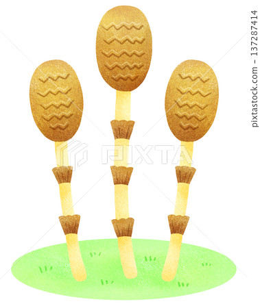 Horsetail blooming in the fields Horsetail blooming in the fields 137287414