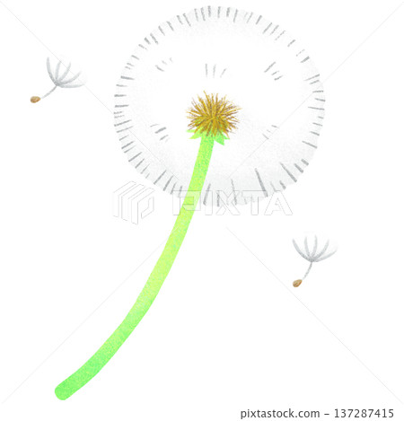 Dandelion's fluff Dandelion's fluff 137287415