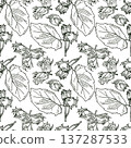 Hazelnut black and white seamless pattern. Square vector illustration with nuts and leaves. 137287533