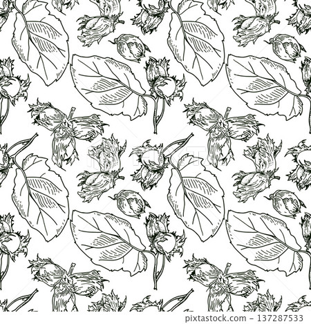 Hazelnut black and white seamless pattern. Square vector illustration with nuts and leaves. Hazelnut black and white seamless pattern. Square vector illustration with nuts and leaves. 137287533