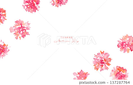 水彩畫。水彩康乃馨矢量圖。母親節康乃馨相框素材。 水彩畫。水彩康乃馨矢量圖。母親節康乃馨相框素材。 137287764