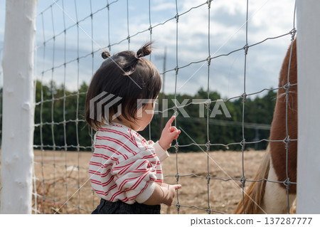 [Grazing horse and two-year-old child] 137287777