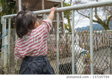 [兩歲小孩在看鴨子] 137287784