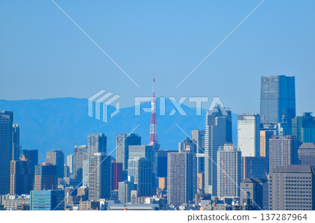 Cityscape Tokyo Minato Ward Buildings Tokyo Tower Cityscape Tokyo Minato Ward Buildings Tokyo Tower 137287964