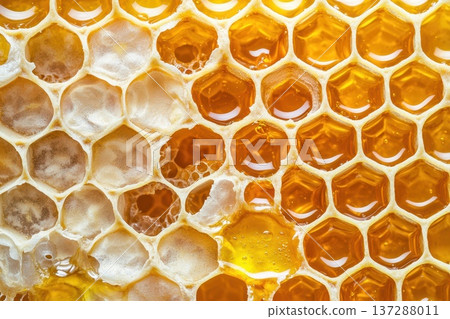 Fresh Honeycomb Display with Dripping Honey in Visually Striking Arrangement Fresh Honeycomb Display with Dripping Honey in Visually Striking Arrangement 137288011