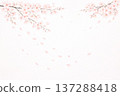 Cherry blossom scene, spring frame with dancing flowers, watercolor style, white background 137288418