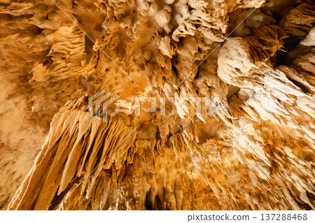 Stalactites, Gyokusen Cave, Okinawa, Okinawa World Culture Kingdom, Stalactites Stalagmites, Gyokusen Cave 137288468