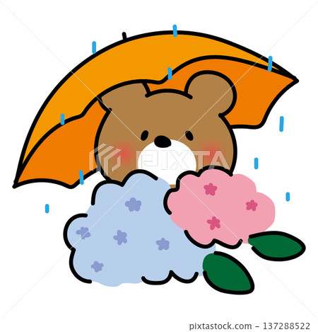 下雨天，庫馬波特撐著傘欣賞繡球花。 137288522