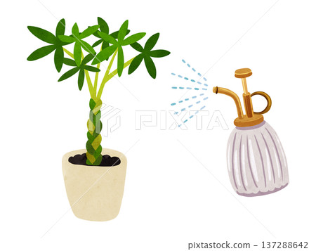 噴霧器和盆栽發財樹,水彩手繪插圖 噴霧器和盆栽發財樹,水彩手繪插圖 137288642
