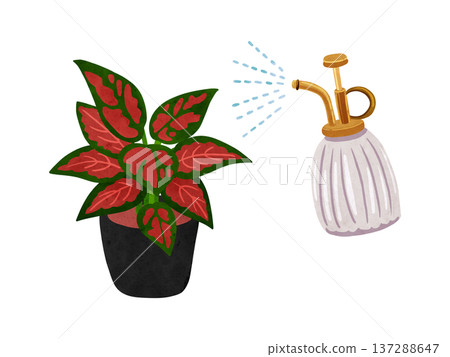 水彩手繪插圖，描繪了一盆美麗的銀皇后，並伴隨噴霧。 137288647