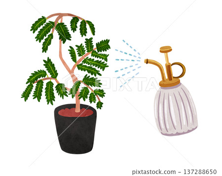 噴霧器與常綠盆栽植物－水彩手繪插圖 137288650