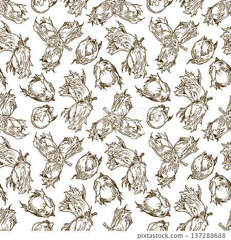 Seamless pattern on a white background with brown hazelnuts. Seamless pattern on a white background with brown hazelnuts. 137288688