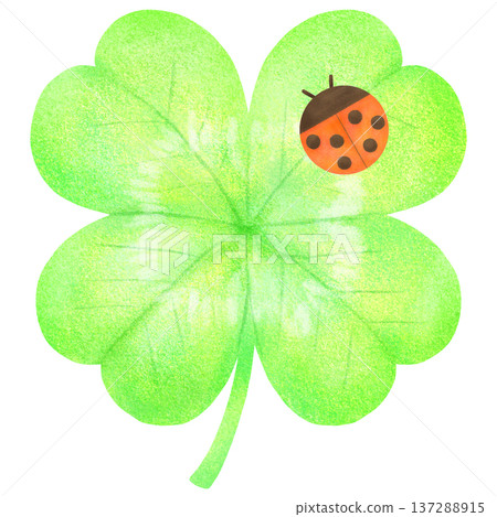  Four leaf clover and ladybird 137288915