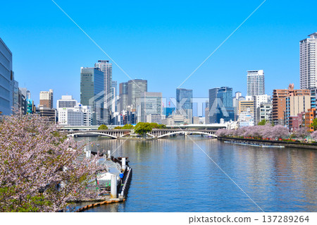 春天 大阪 大川南天滿公園 春天 大阪 大川南天滿公園 137289264