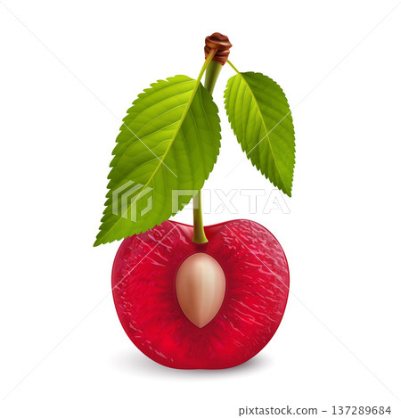 Cherry berry 137289684