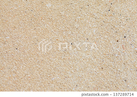 Fine sand grains cover the surface gently Fine sand grains cover the surface gently 137289714