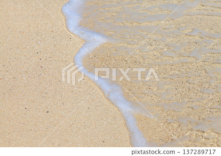 Soft tide washes golden sand with gentle foam 137289717