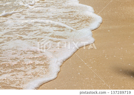 Soft waves kiss golden sand with gentle foam Soft waves kiss golden sand with gentle foam 137289719