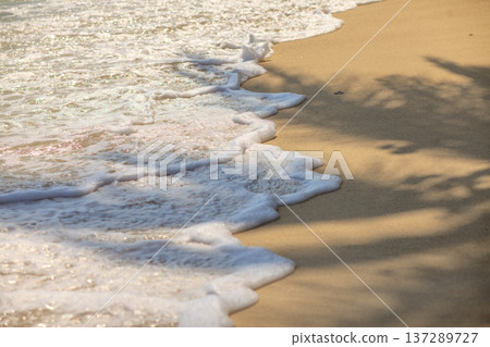 Soft waves kiss golden sand with gentle foam Soft waves kiss golden sand with gentle foam 137289727