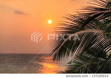 Golden sun sets over calm ocean waters Golden sun sets over calm ocean waters 137289814