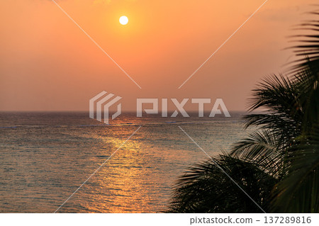 Golden sun sets over calm ocean waters Golden sun sets over calm ocean waters 137289816