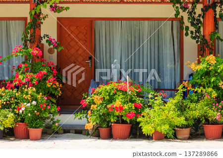 Vibrant flowers fill pots beside a warm wooden door 137289866