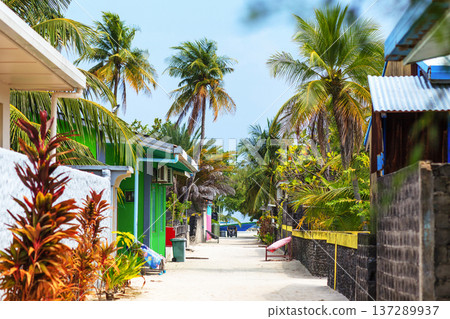 Tropical street lined with palm trees and vibrant plants Tropical street lined with palm trees and vibrant plants 137289937