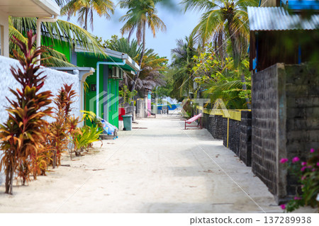 Tropical path lined with vibrant plants and palm trees Tropical path lined with vibrant plants and palm trees 137289938