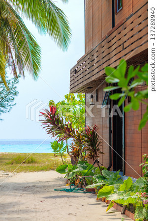 Tropical breeze brushes palm fronds gently Tropical breeze brushes palm fronds gently 137289940