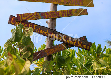 Vibrant signs lean against a weathered wooden post Vibrant signs lean against a weathered wooden post 137289955