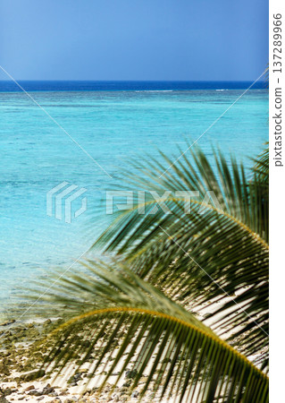 Crystal blue water meets white sand Crystal blue water meets white sand 137289966