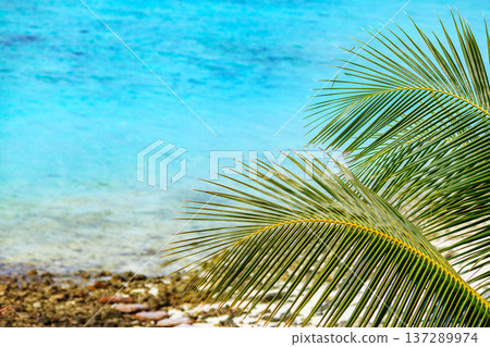 Crystal blue water meets sandy shore Crystal blue water meets sandy shore 137289974