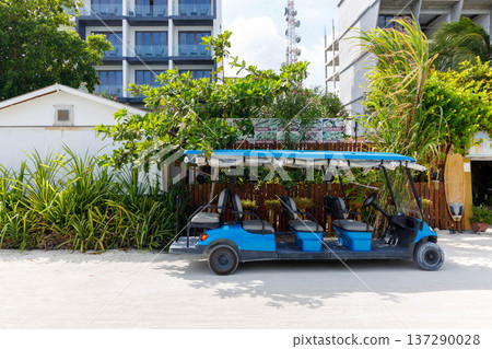 Blue golf cart rests under green foliage 137290028