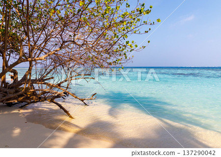 Soft sunlight glows over calm turquoise waves Soft sunlight glows over calm turquoise waves 137290042