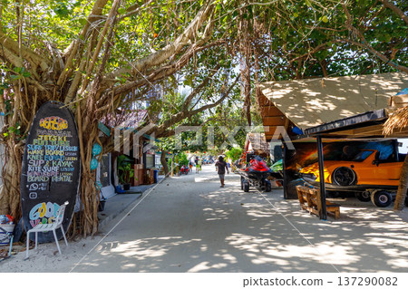 Lush tree roots frame a sunlit path Lush tree roots frame a sunlit path 137290082